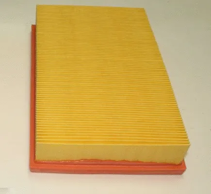 Air Filter (TQ-AF042)