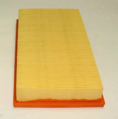 Air Filter (TQ-AF039)
