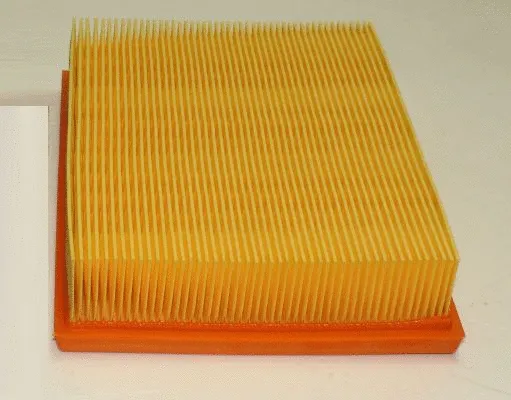 Air Filter (TQ-AF126)