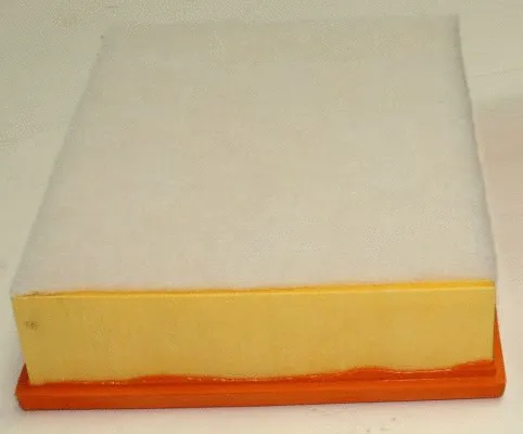 Air Filter (TQ-AF038)