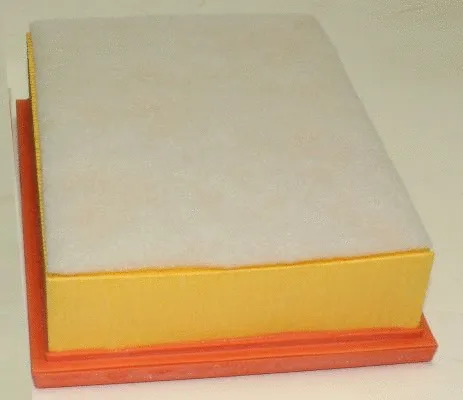 Air Filter (TQ-AF074)