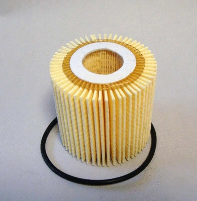 Oil Filter (TQ-O381)