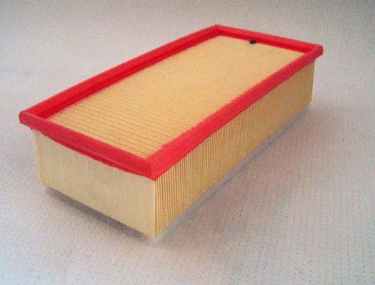 Air Filter (TQ-A3137)