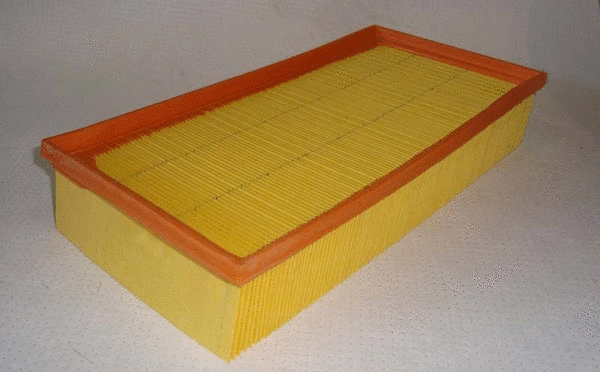 Air Filter (TQ-A153)