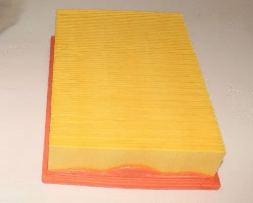 Air Filter (TQ-AF054)