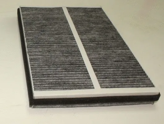 Filter, cabin air (TQ-SCA589)