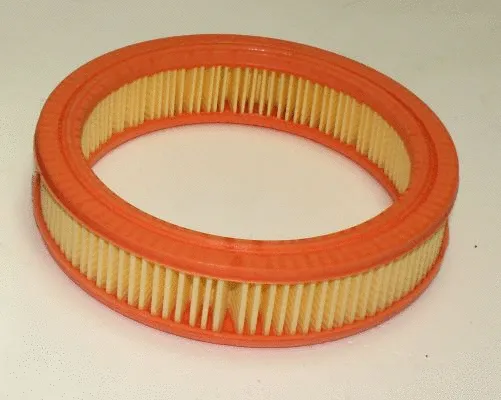 Air Filter (TQ-AF056)