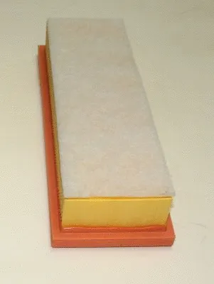 Air Filter (TQ-AF043)