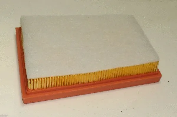 Air Filter (TQ-AF117)
