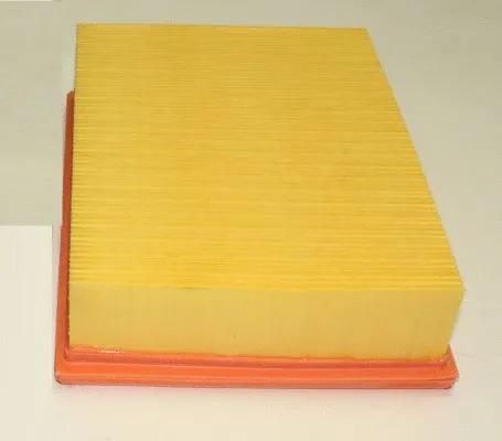 Air Filter (TQ-AF133)