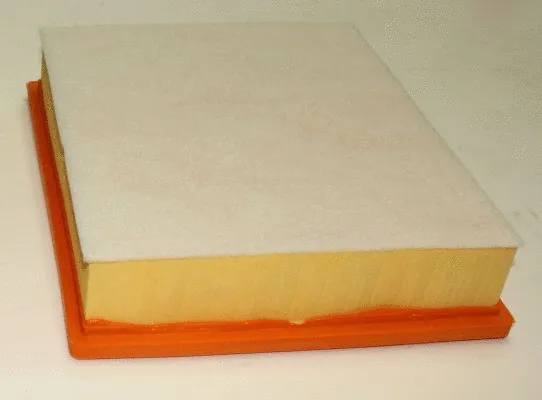 Air Filter (TQ-AF019)