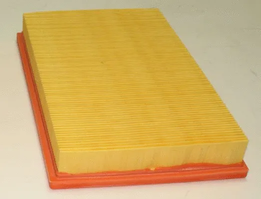 Air Filter (TQ-AF017)