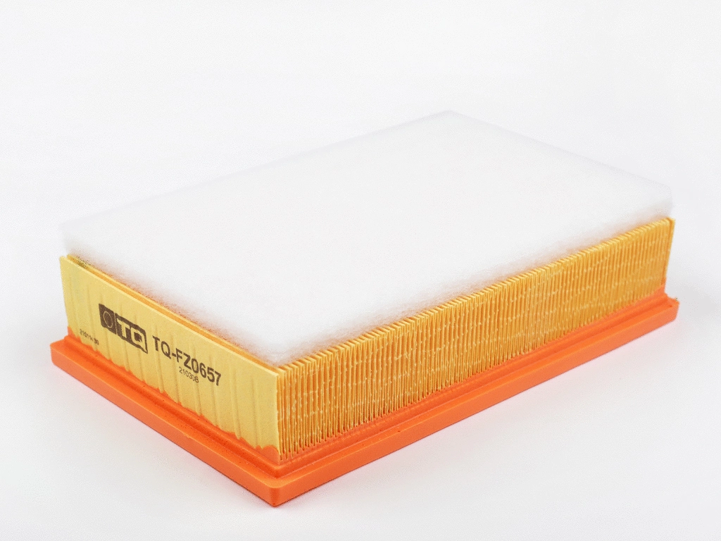 Air Filter (TQ-FZ0657)