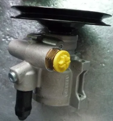 Hydraulic Pump, steering (TQ-MZ-B013)