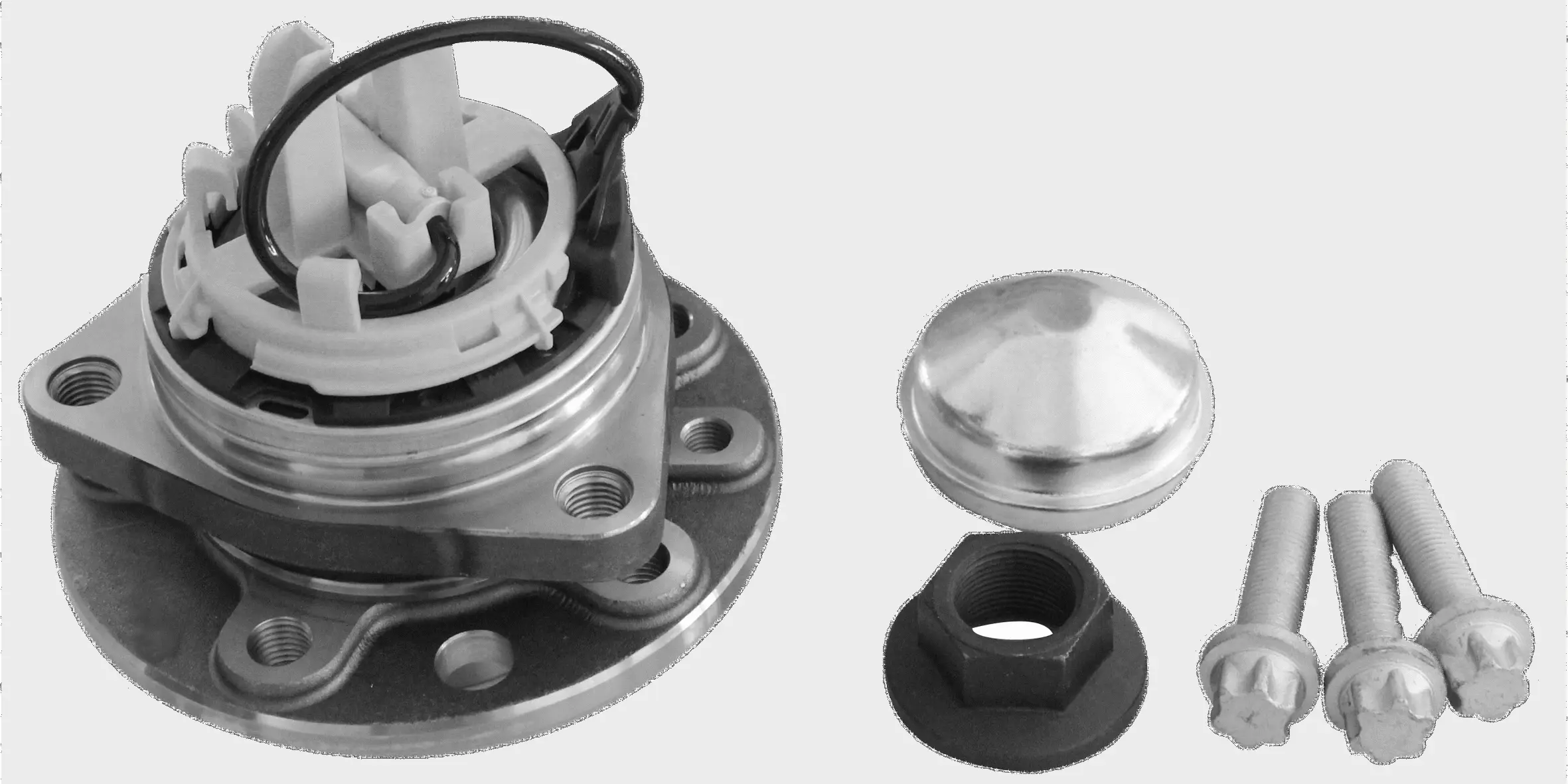 Wheel Bearing Kit (TQ-G9333097K)