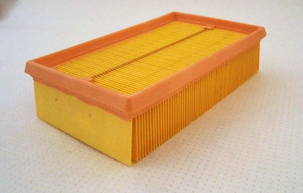 Air Filter (TQ-A3111)