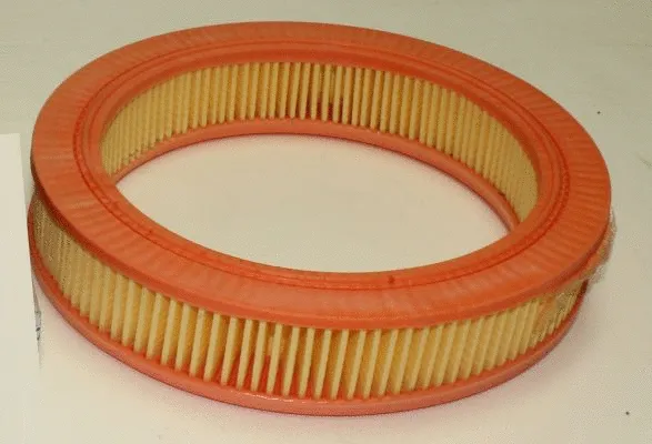 Air Filter (TQ-AF130)