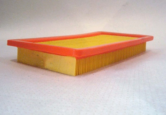 Air Filter (TQ-A443)