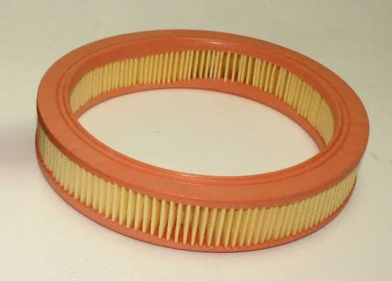 Air Filter (TQ-AF104)