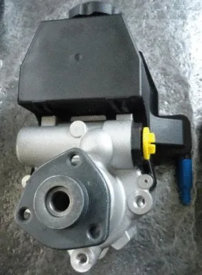 Hydraulic Pump, steering (TQ-MZ-A061T)