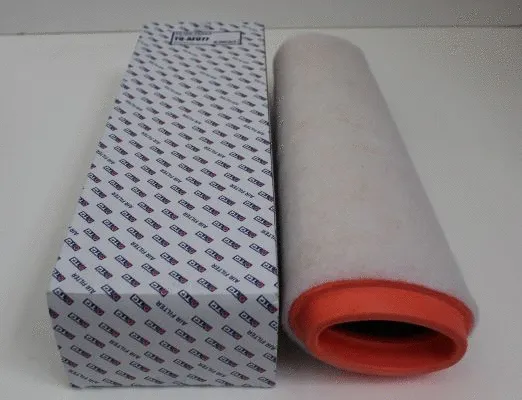 Air Filter (TQ-AF077)