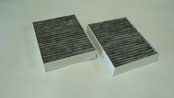 Filter, cabin air (TQ-CC102X2)