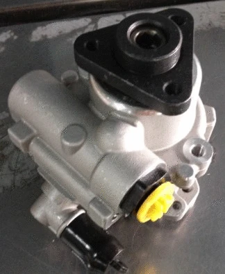Hydraulic Pump, steering (TQ-MZ-A008)