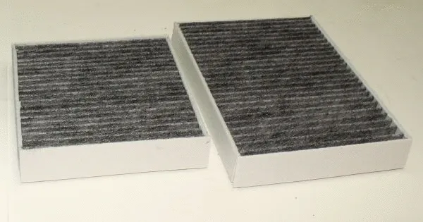 Filter, cabin air (TQ-G734)