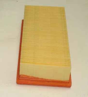Air Filter (TQ-AF052)