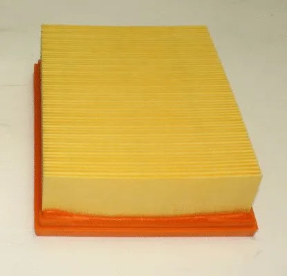Air Filter (TQ-AF045)