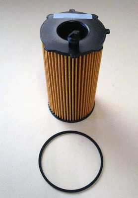 Oil Filter (TQ-O306)