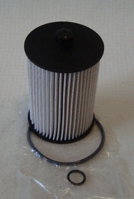 Fuel Filter (TQ-F935)