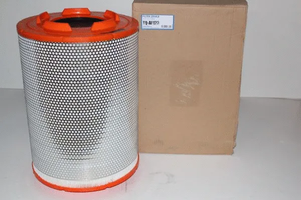Air Filter (TQ-AF123)