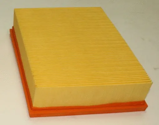 Air Filter (TQ-AF033)