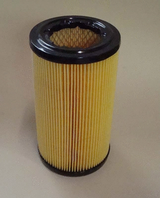 Air Filter (TQ-A263)