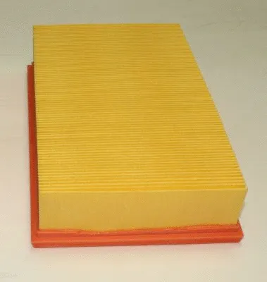 Air Filter (TQ-AF073)