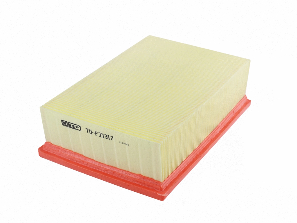 Air Filter (TQ-FZ1317)
