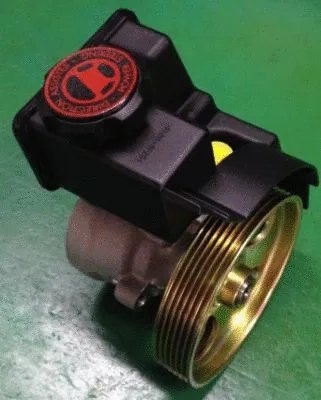 Hydraulic Pump, steering (TQ-MZ-D001Te)