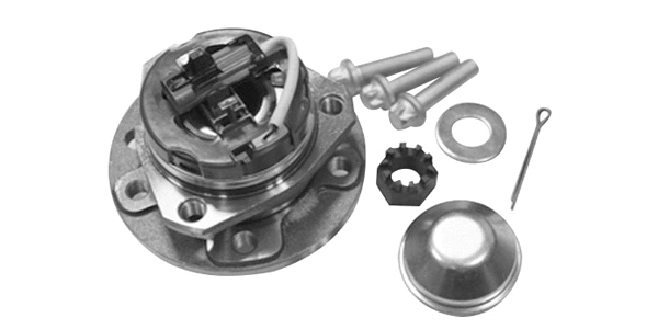 Wheel Bearing Kit (TQ-G9333029K)