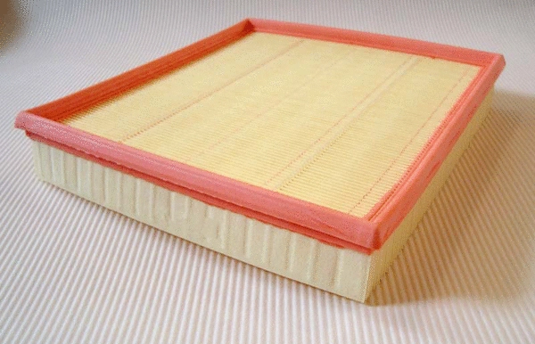 Air Filter (TQ-A3377)