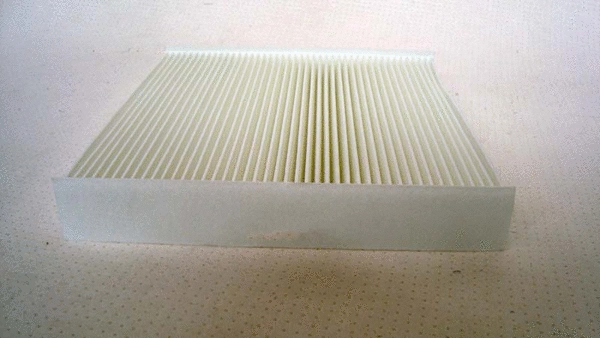 Filter, cabin air (TQ-C123)