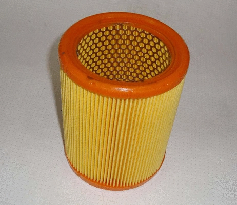 Air Filter (TQ-A190)