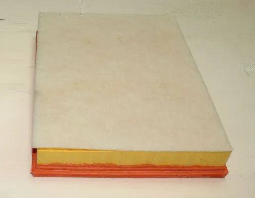 Air Filter (TQ-AF103)