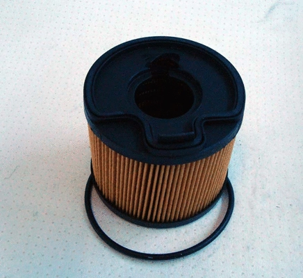 Fuel Filter (TQ-F151)