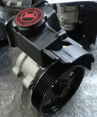 Hydraulic Pump, steering (TQ-MZ-D001Ta)