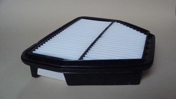 Air Filter (TQ-A3218)