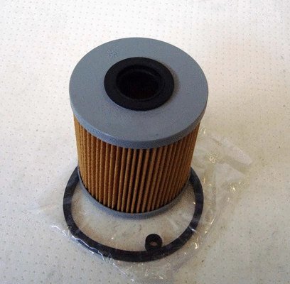 Fuel Filter (TQ-FG1430)