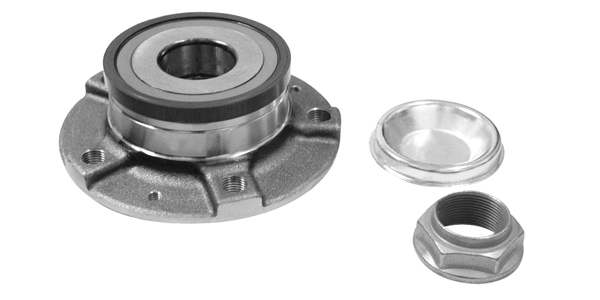 Wheel Bearing Kit (TQ-G9232029K)