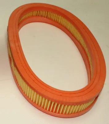 Air Filter (TQ-AF051)