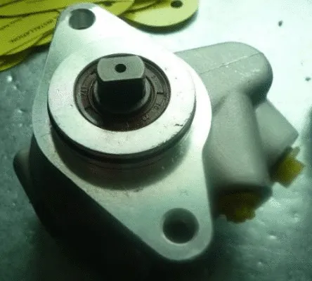 Hydraulic Pump, steering (TQ-MZ-G001)